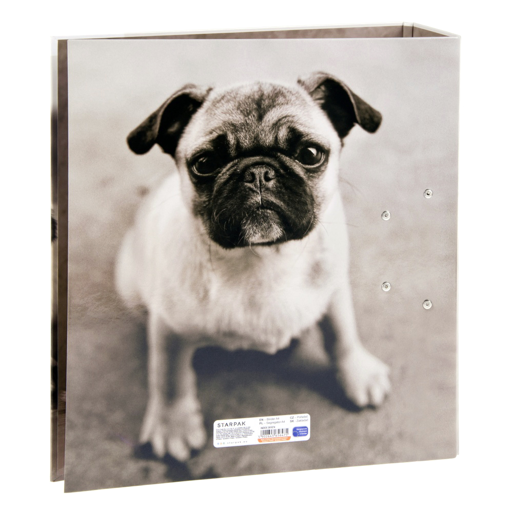 ND39_391674 I SEGREGATOR A4/70 STK PSY PUD 1/20