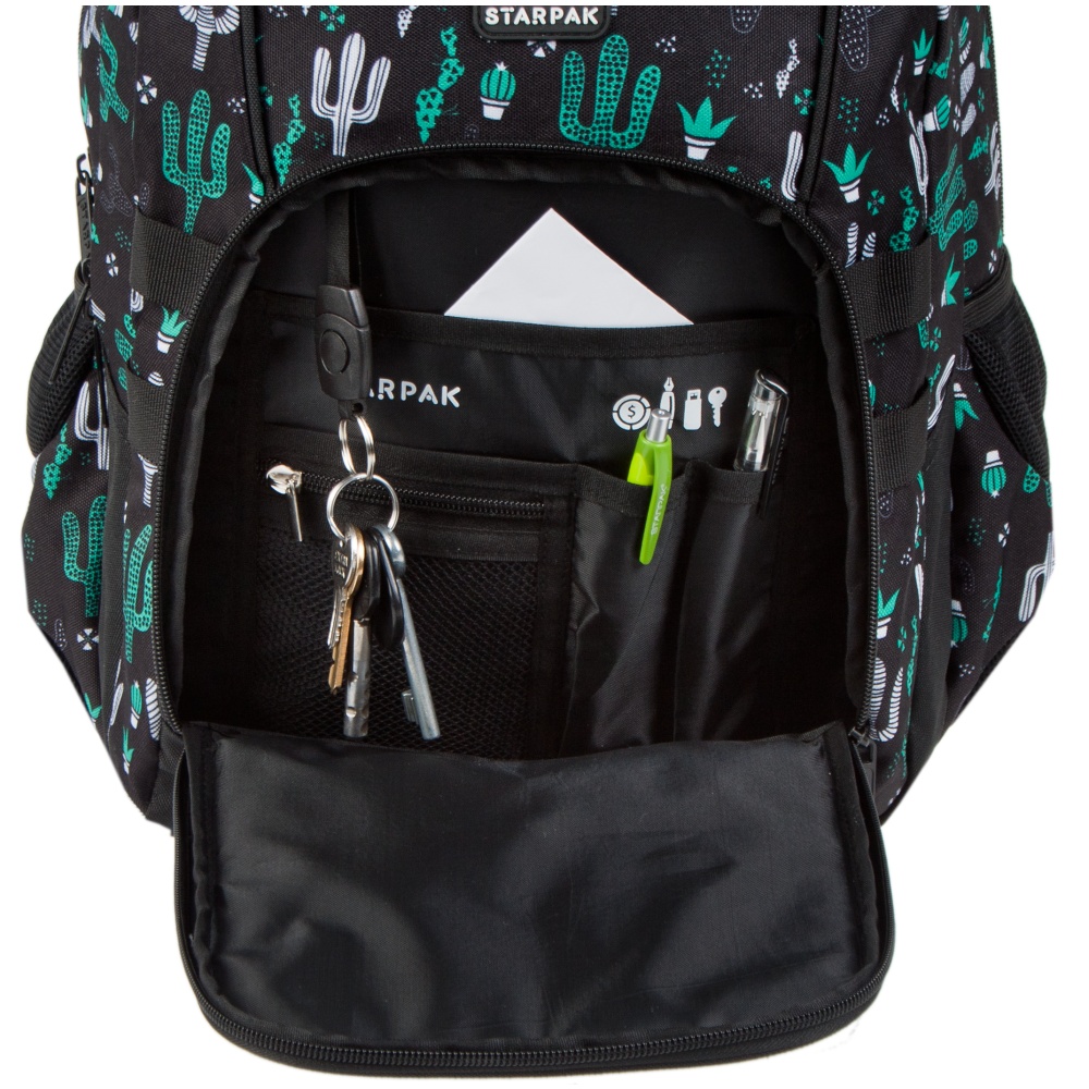 ND39_446512 I PLECAK STK CACTUS PB 1/12