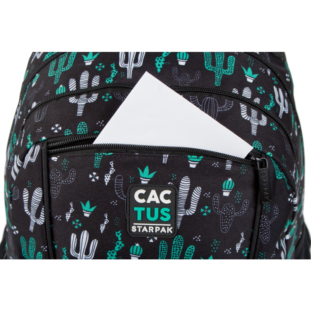 ND39_446512 I PLECAK STK CACTUS PB 1/12