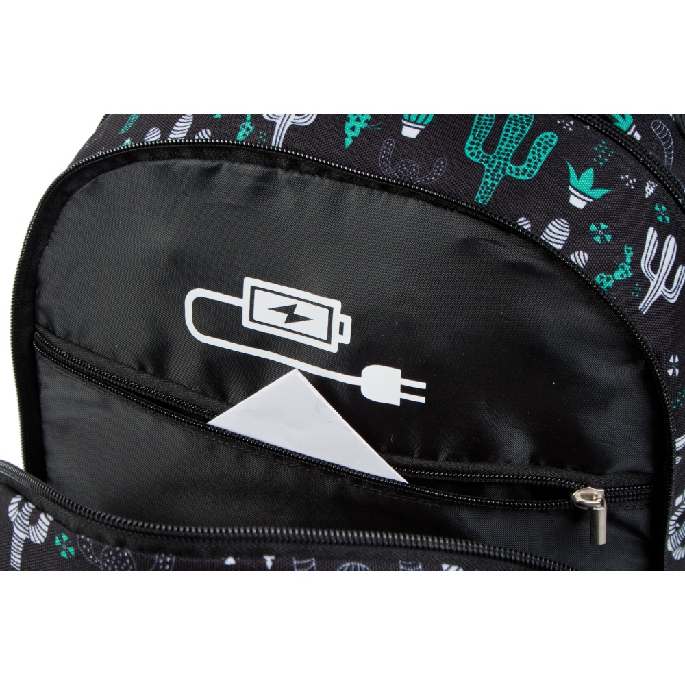 ND39_446512 I PLECAK STK CACTUS PB 1/12