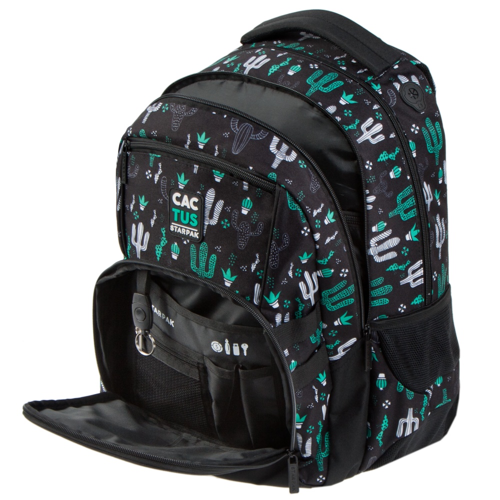 ND39_446512 I PLECAK STK CACTUS PB 1/12