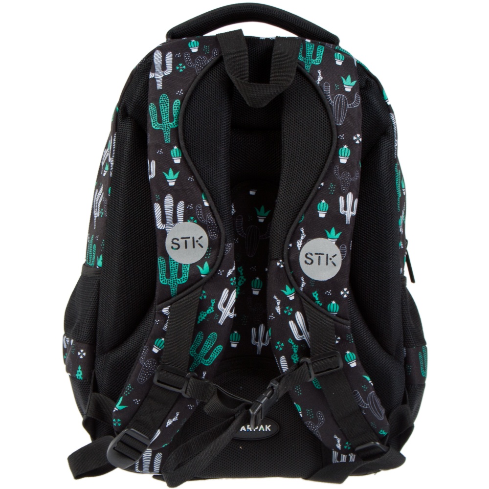 ND39_446512 I PLECAK STK CACTUS PB 1/12