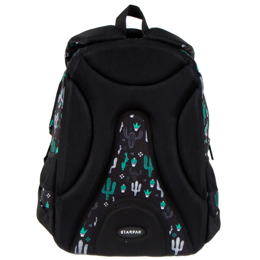 ND39_446512 I PLECAK STK CACTUS PB 1/12