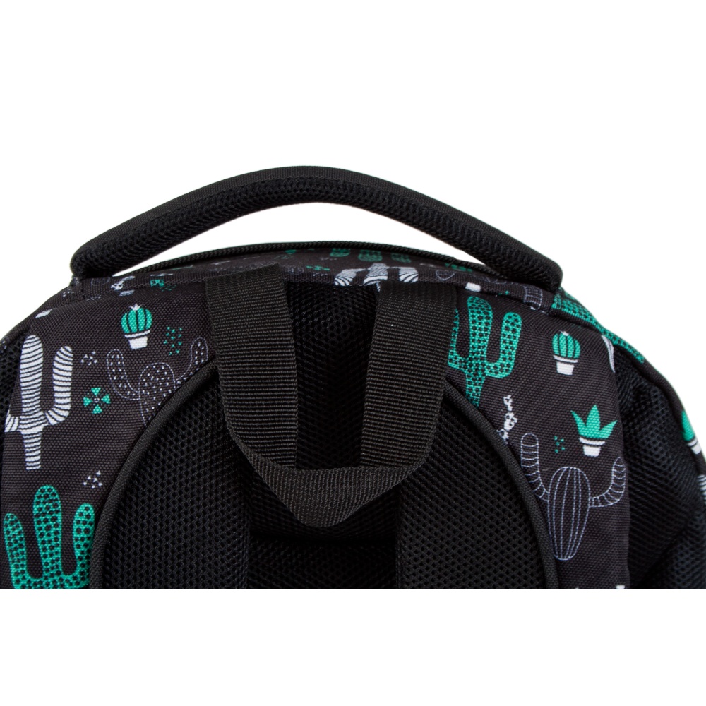 ND39_446512 I PLECAK STK CACTUS PB 1/12