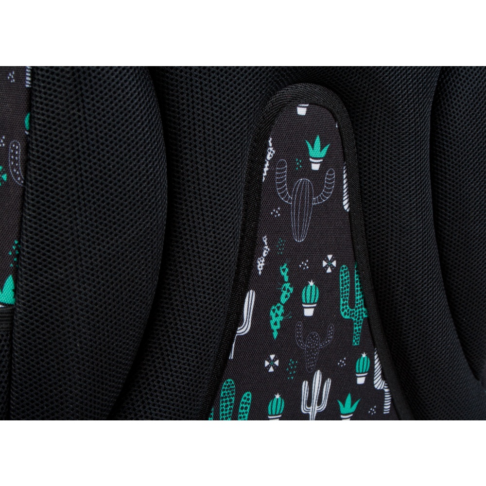 ND39_446512 I PLECAK STK CACTUS PB 1/12