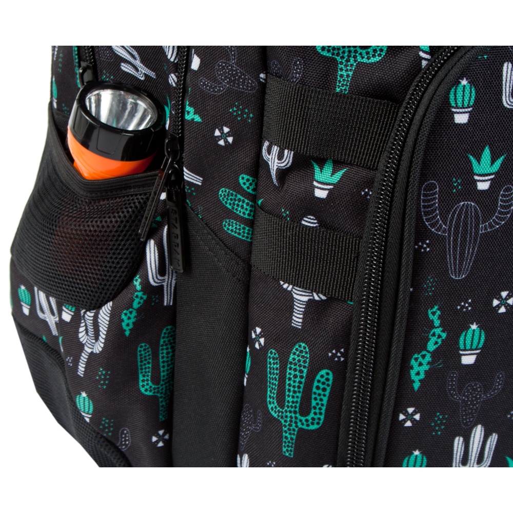 ND39_446512 I PLECAK STK CACTUS PB 1/12