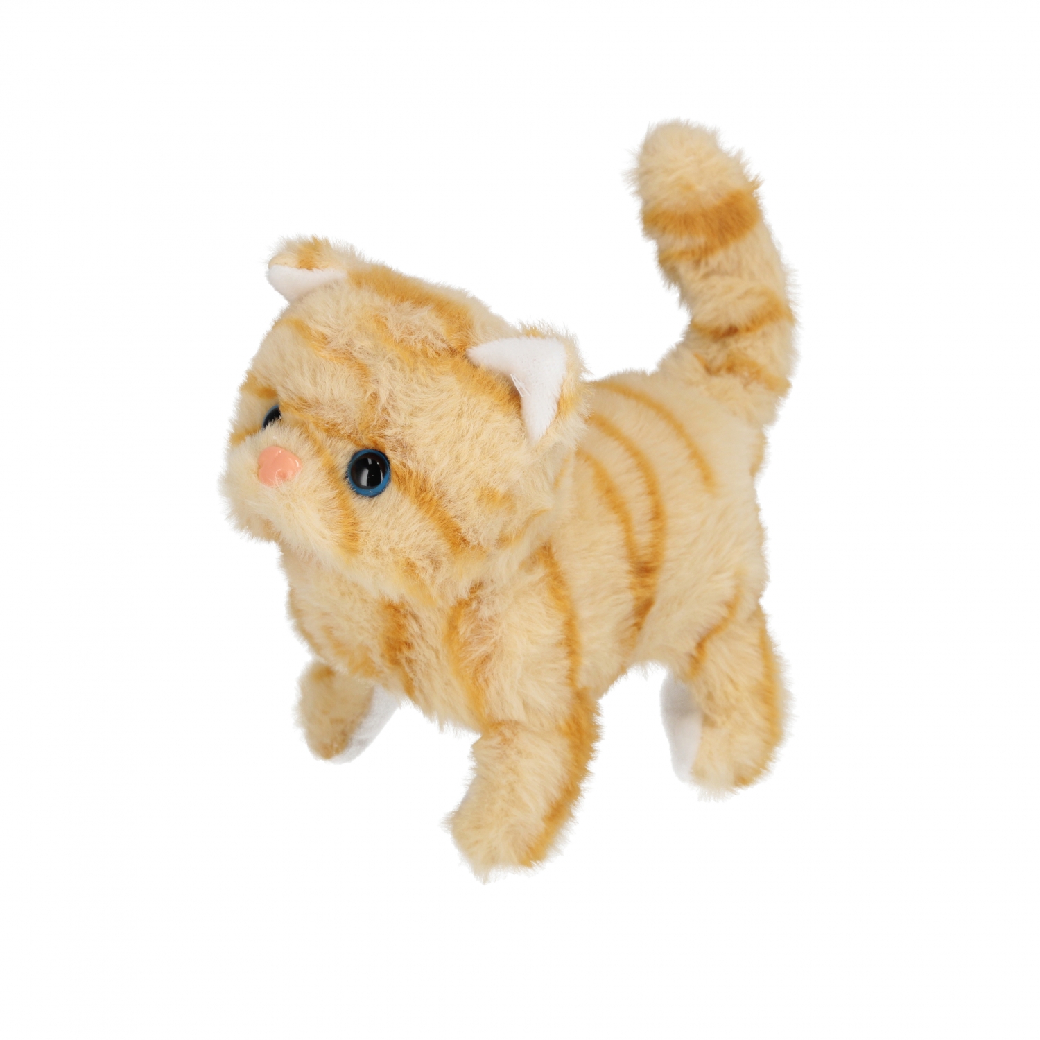 scatola interattiva per gatti 13x17x15 mix3 mesi p
