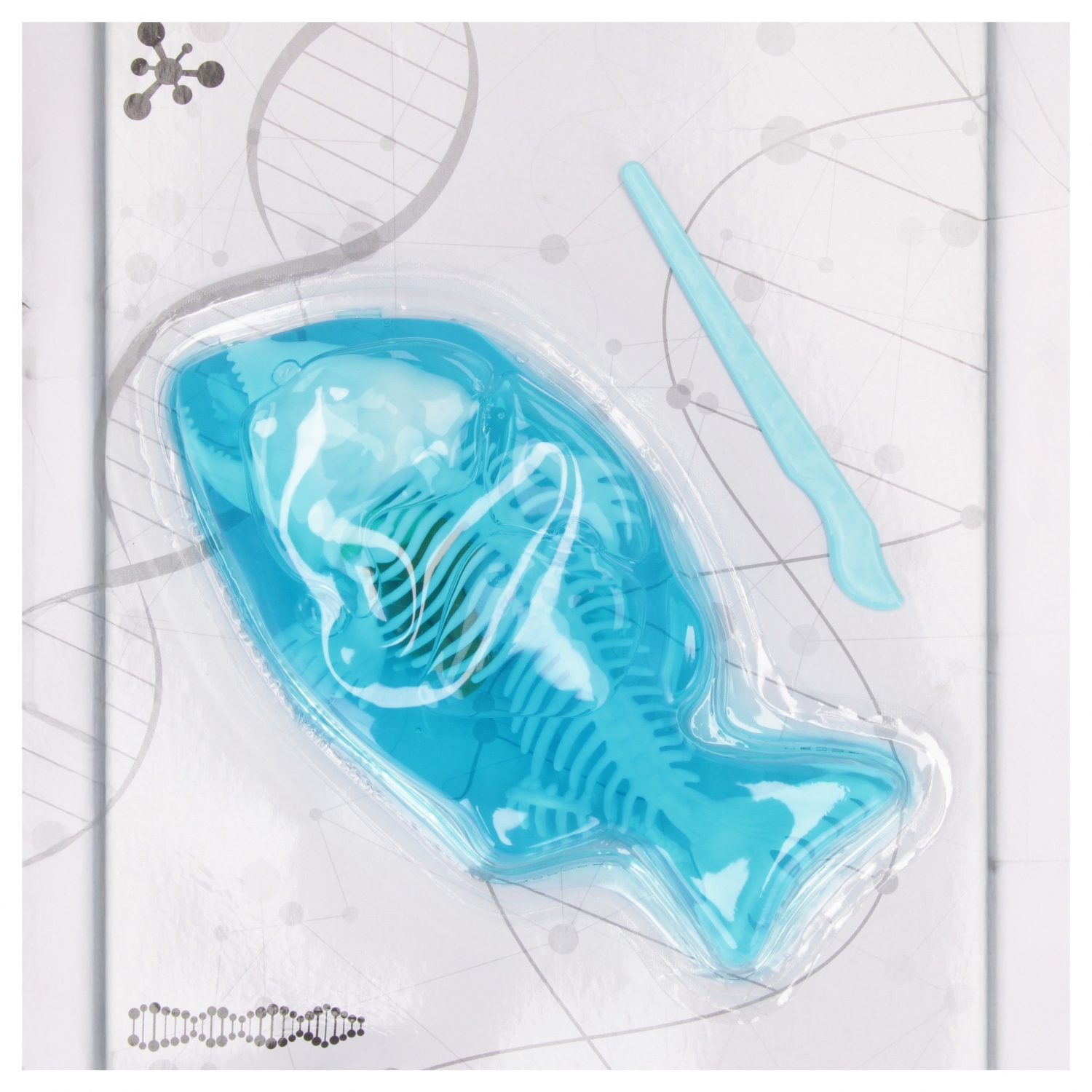 set scienziato anatomia pesce 20x30x5 mc finestra