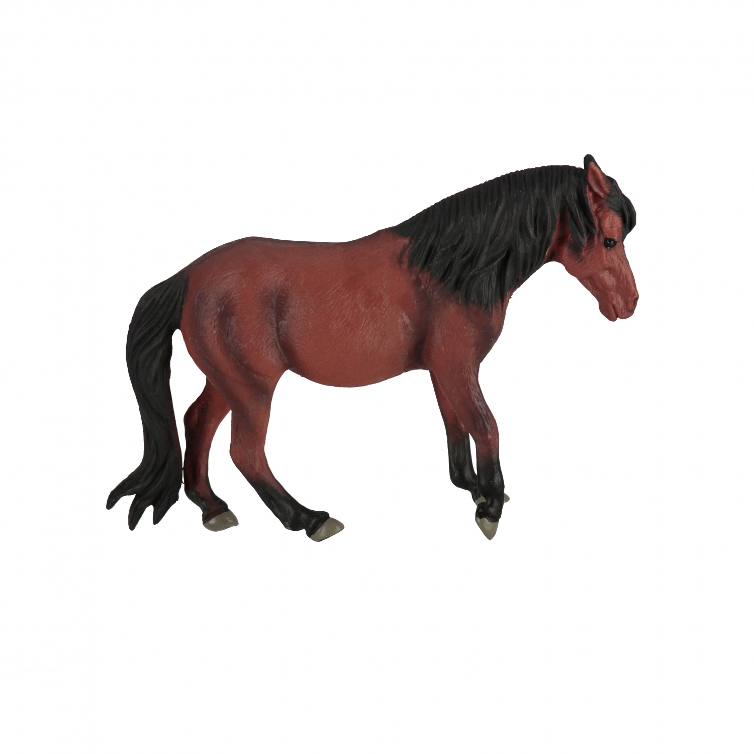 animale domestico 11x9x3 mix3 mc su Espositore