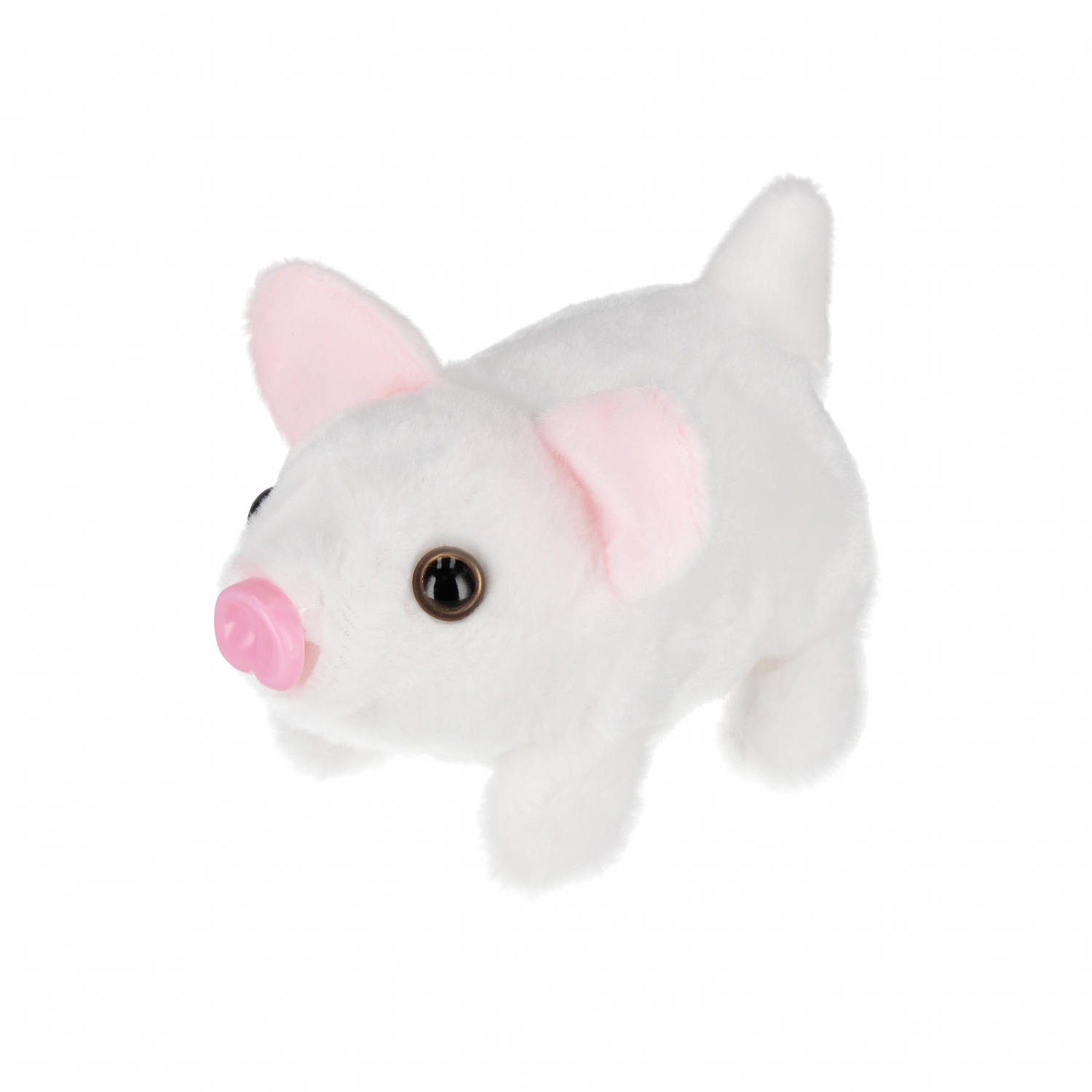peluche scatola maiale 16cm mix3 mesi per Esposito