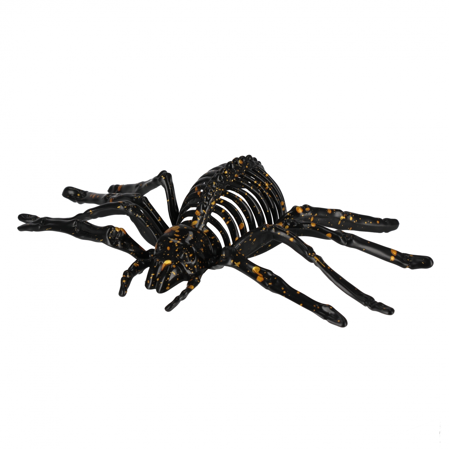 ragno 22x14 mix3 mc su Espositore