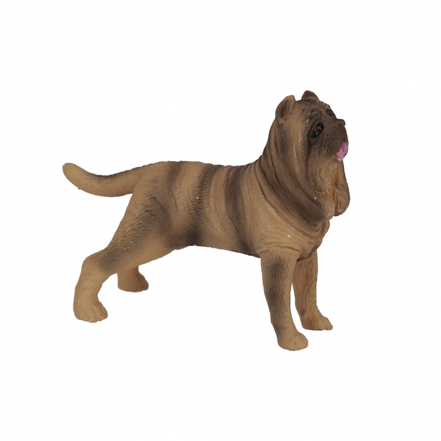 cane 12x9 mix bw lamina su Espositore