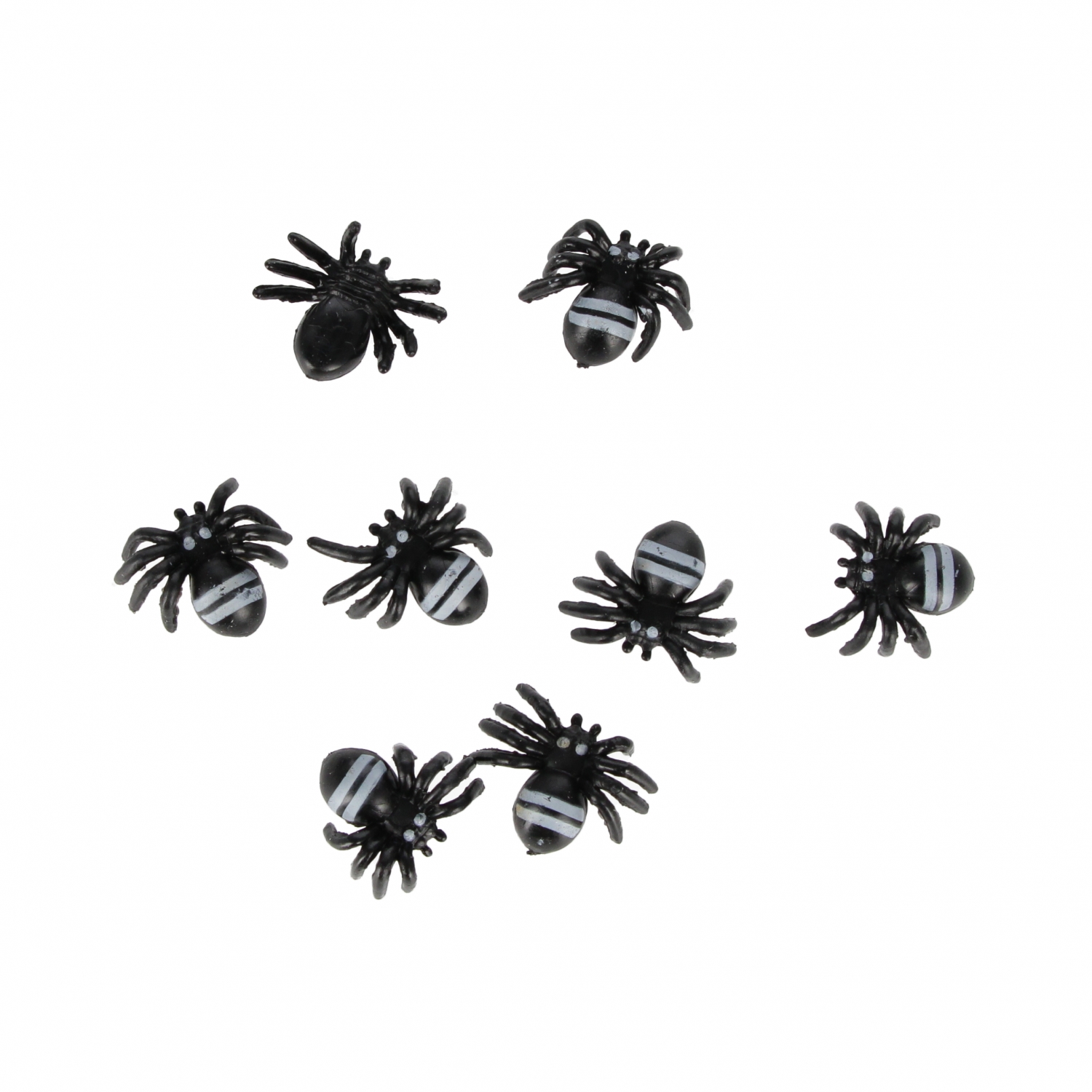 ragno 2cm 11x15x2 mc blister