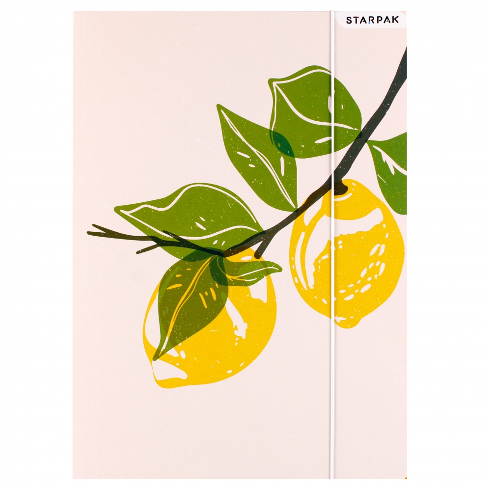 cartellina con gomma da cancellare A4 Fruits Starp
