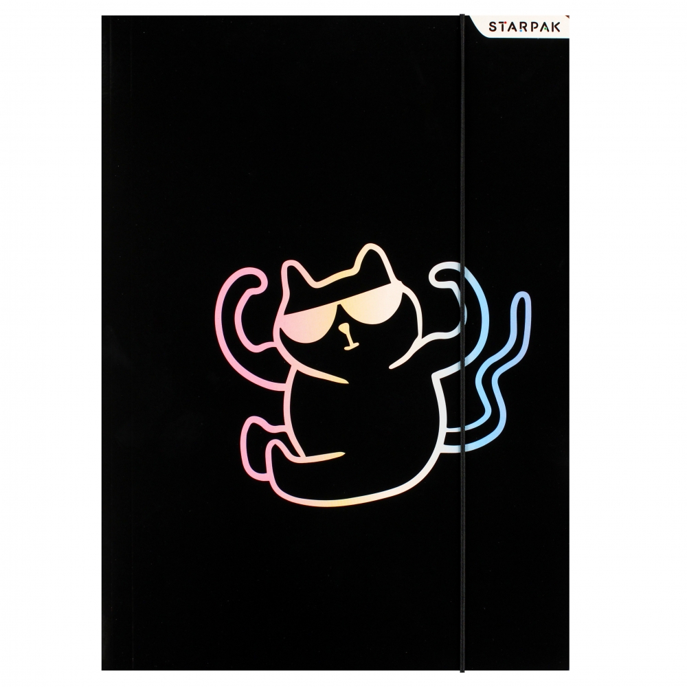 cartella con gomma da cancellare A4 kitty holo sta
