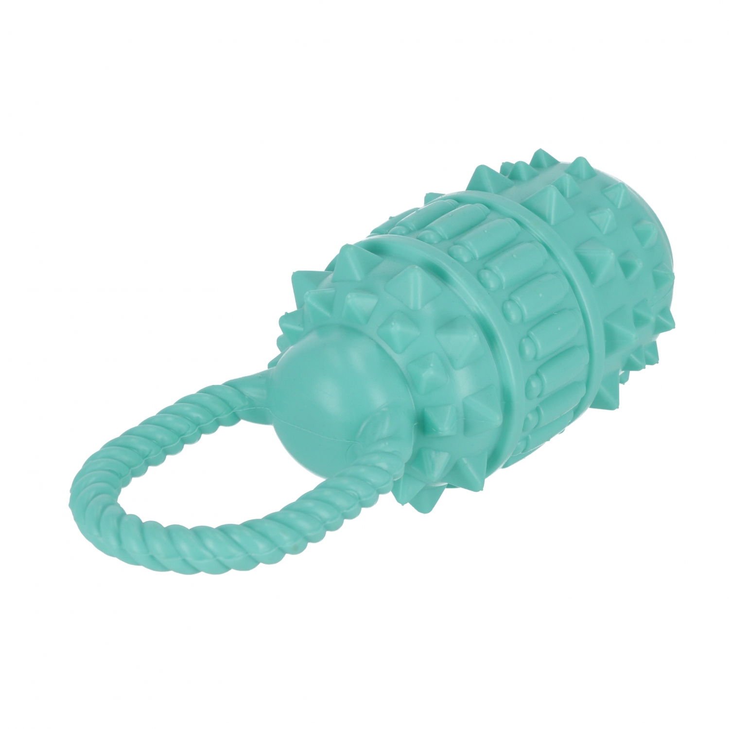 giocattolo per cani barile squeaker blu 20